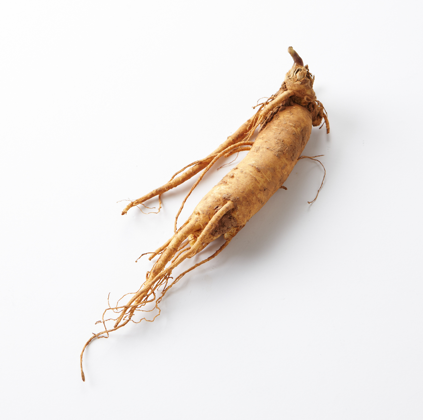 Imagem de referência relacionada a ginseng, item descrito como registro de referência sobre ginseng, organizado a partir de dados estruturados abertos