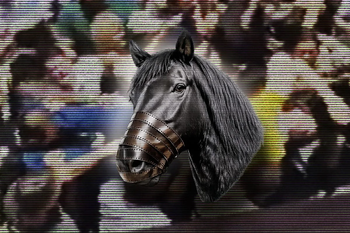 Imagem da matéria: Caso Dark Horse: polícia busca servidores que validaram pagamentos a ONG