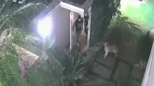 Juros de 40%: Vítima pega R$ 500, paga R$ 1,4 mil e ainda é cobrada em R$ 5 mil por agiota em BH