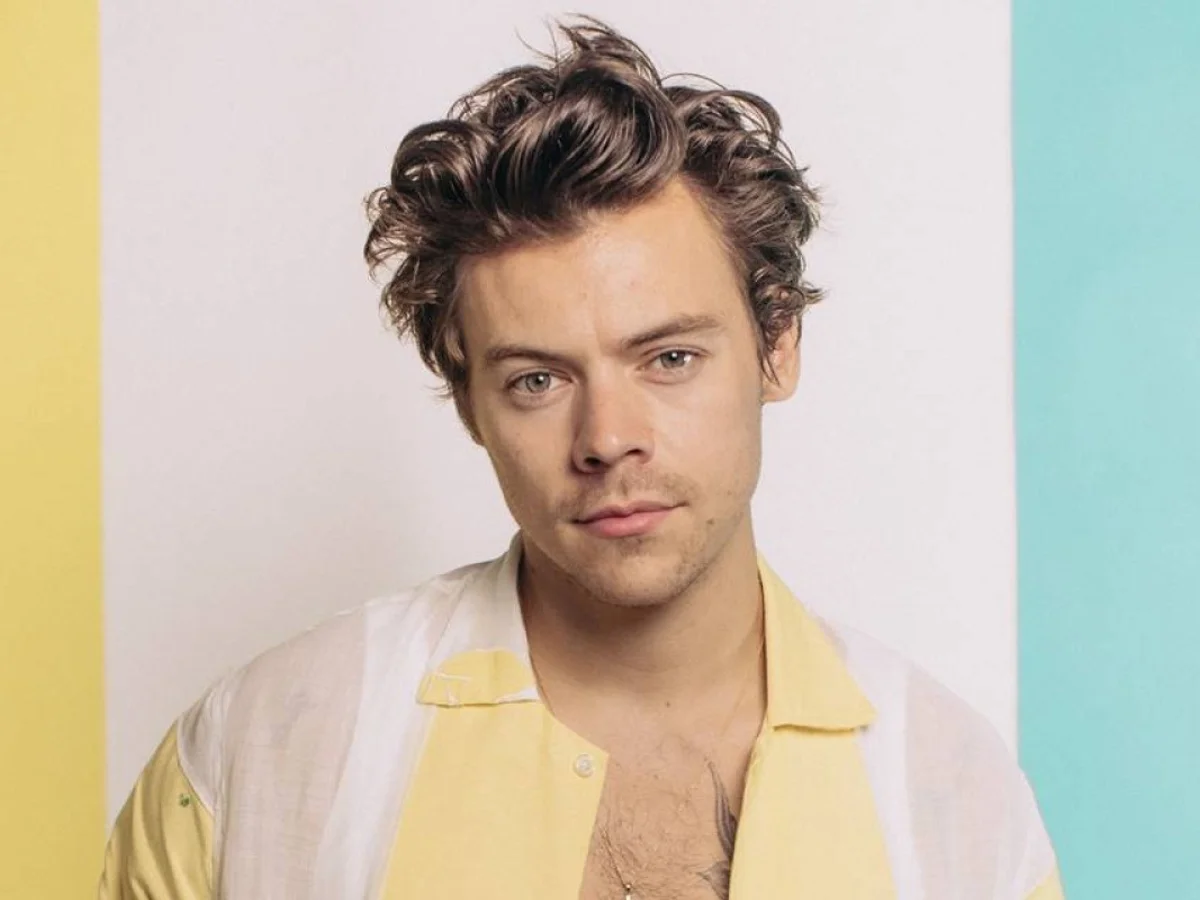 Ingresso de show de Harry Styles em NY é criticado por semelhança ao 11/9