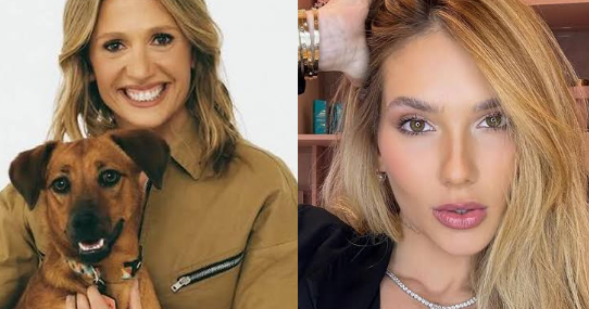 Luisa Mell se indigna com valor arrecadado por Virginia em live e compara com situação de animais: 'O que está acontecendo?'