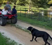 Príncipe Harry e os filhos andam de triciclo