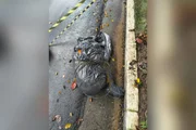 Mistério: em menos de uma semana, 3 corpos são encontrados amarrados em SP