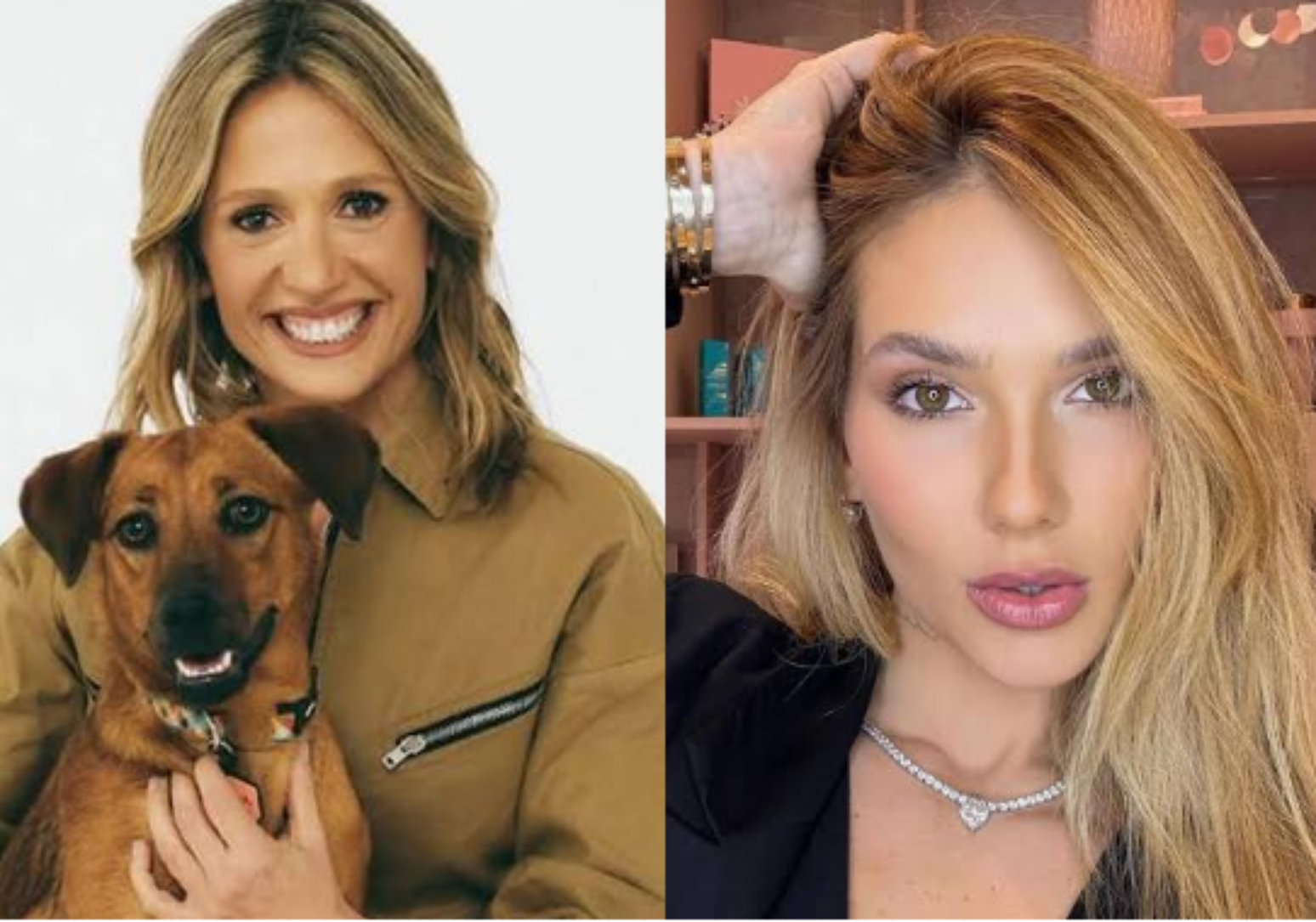 Montagem com fotos de Luisa Mell e Virginia