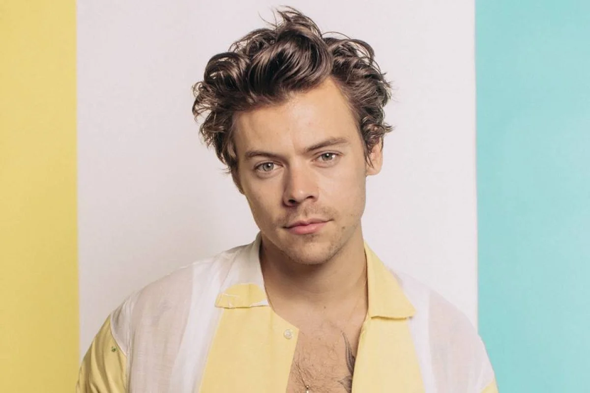 Ingresso de show de Harry Styles em NY é criticado por semelhança ao 11/9