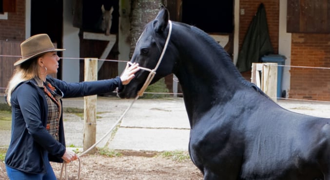 Christina Rocha chega com tudo para comandar os produtos digitais de A Fazenda: ‘Sou justa e vou falar o que precisa ser dito’