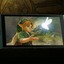 Imagem da matéria: The Legend of Zelda: Ocarina of Time: 7 melhores novidades do remake