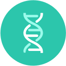 Vitamina K encontrada em vegetais verdes é ligada a pulmões mais saudáveis