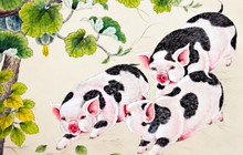 5 loại cây "gọi mời" rắn tới nhà: Nhiều gia đình trồng mà không hay